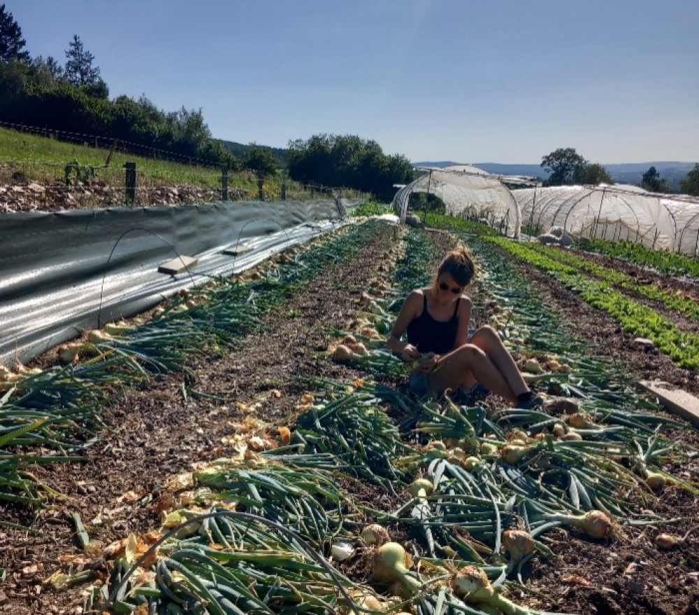 Accueillez les paniers d'Oufti Légumes de vos voisinEs